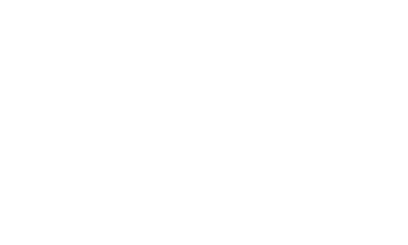 envisions the future